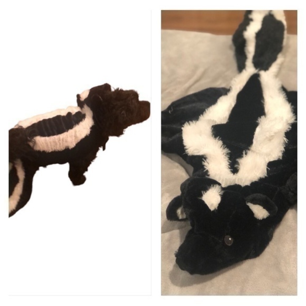 Dog skunk costume